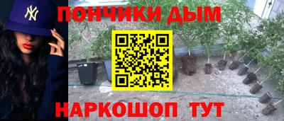 молекула духа Камышлов