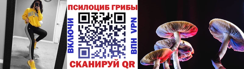 Галлюциногенные грибы Cubensis  mega ССЫЛКА  Сегежа  где продают наркотики 